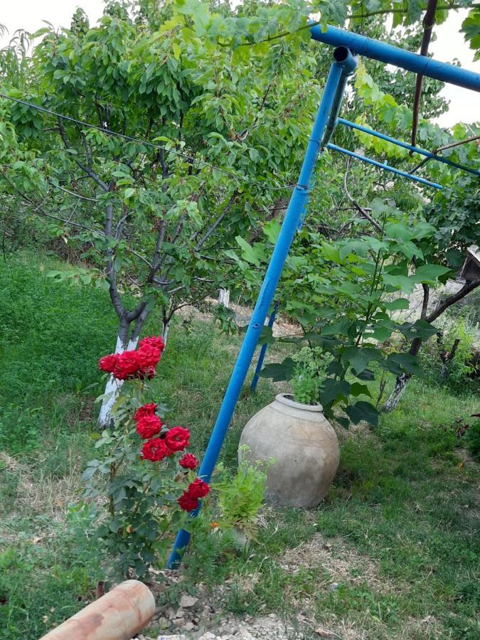 Ararat B&B Chʼiva Exterior foto